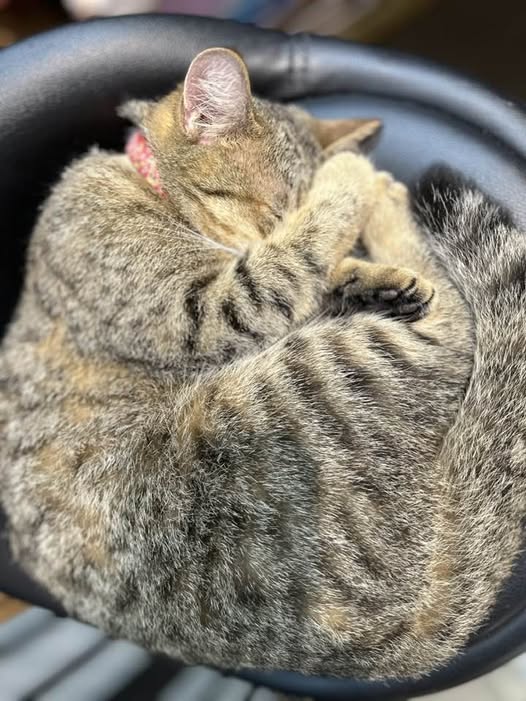 懶洋洋的小朋友