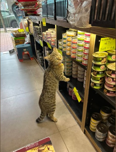 懶洋洋的小朋友