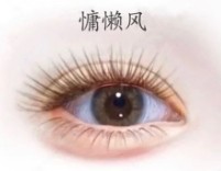 慵懶風