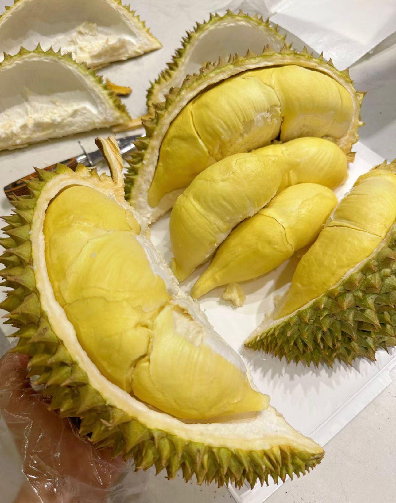 泰國金枕頭榴槤