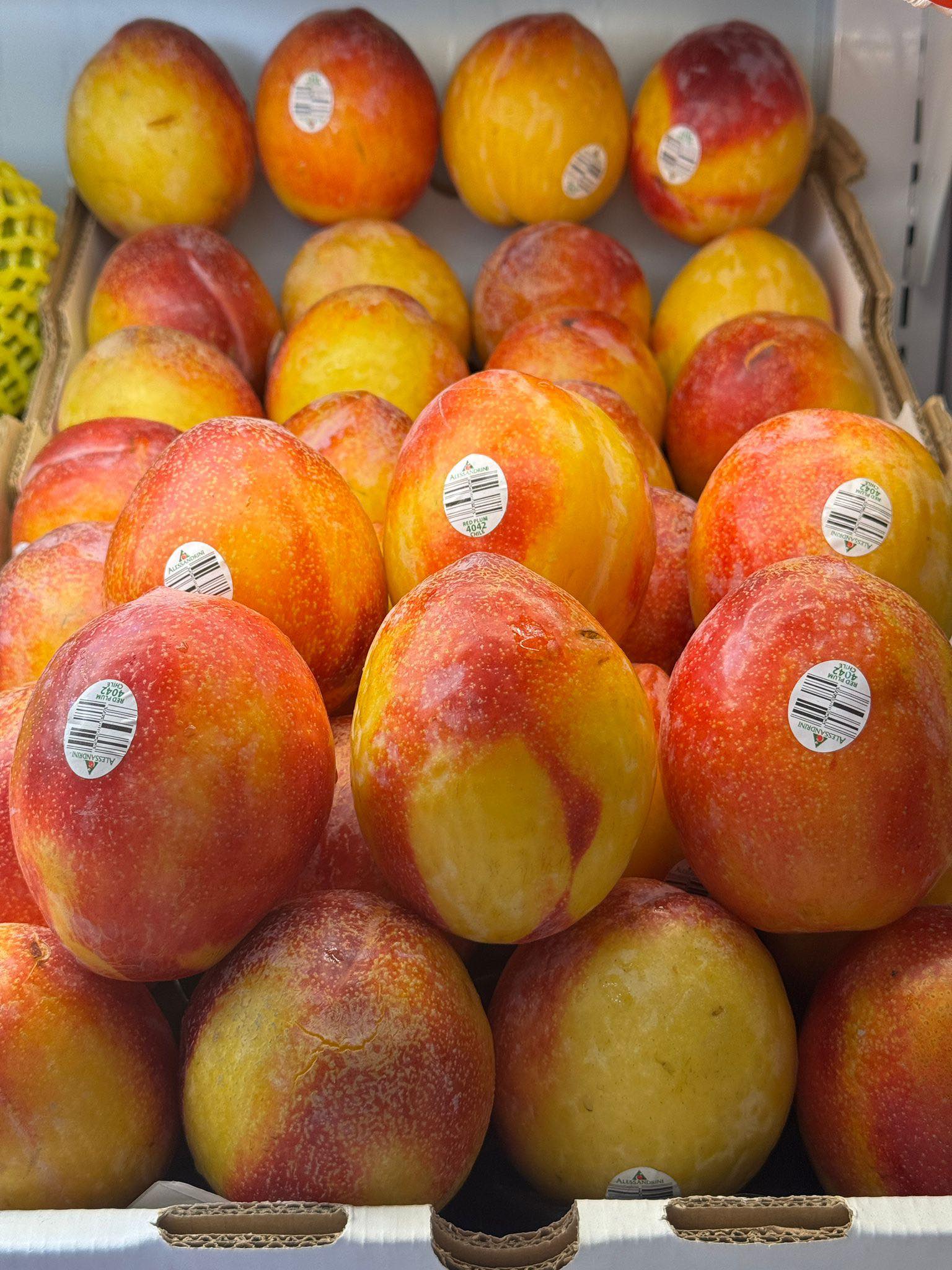 美國手榴蛋布冧