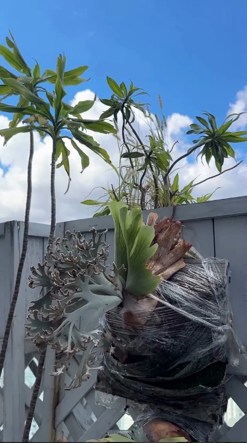 由熱戀
到細水長流
一同成長