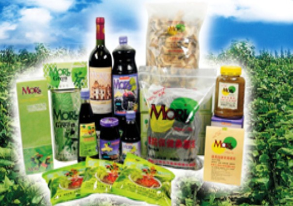 古代傳統與現代科技的結晶