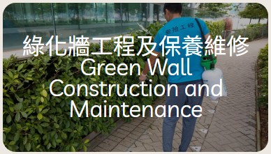 綠化牆工程及保養維修