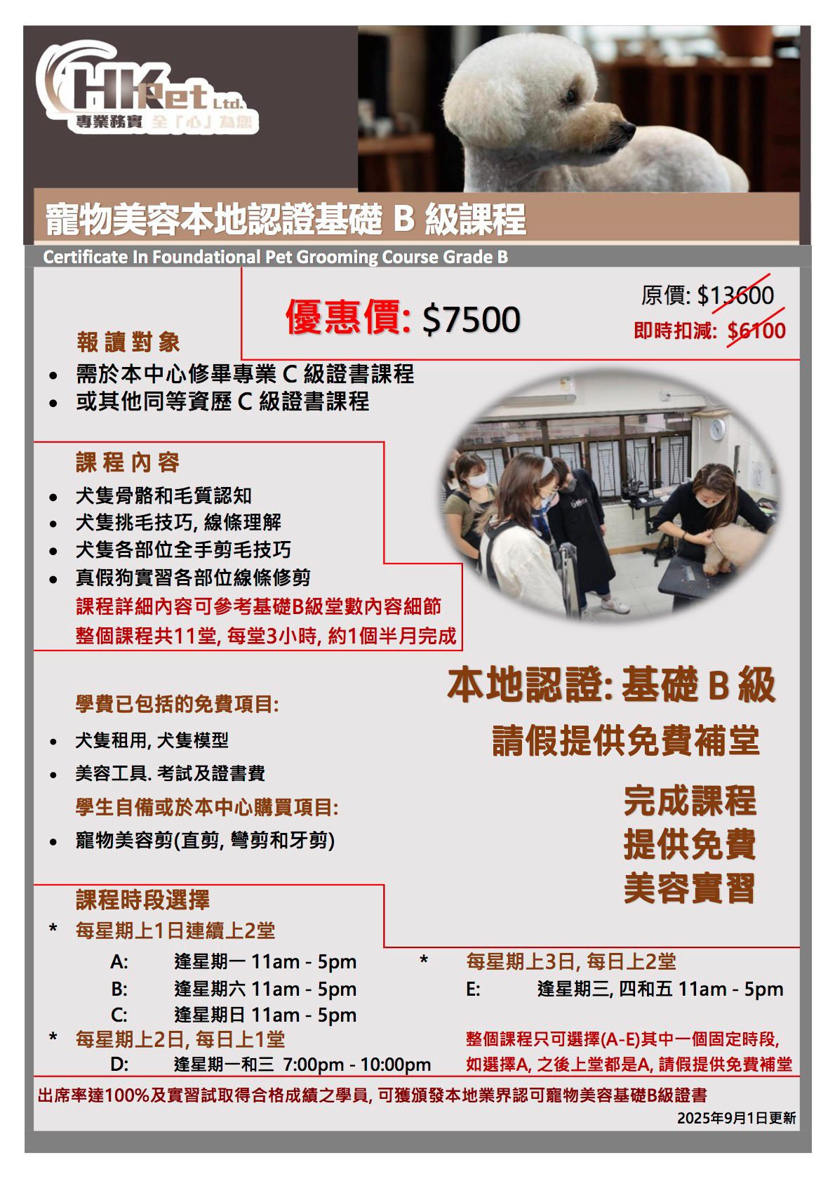 寵物美容基礎B級證書課程