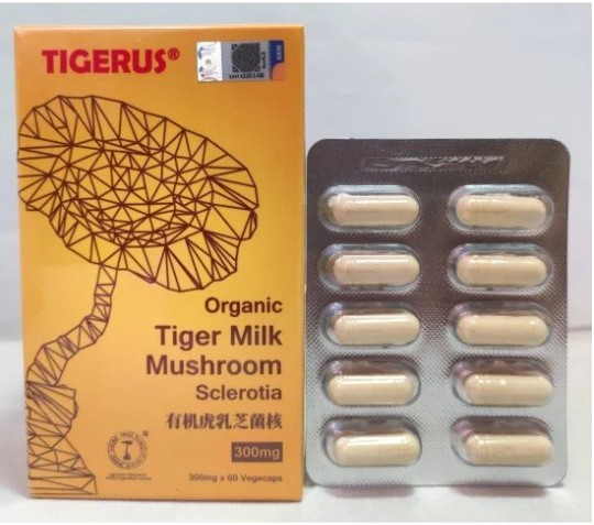 Tigerus虎乳靈芝菌核膠囊