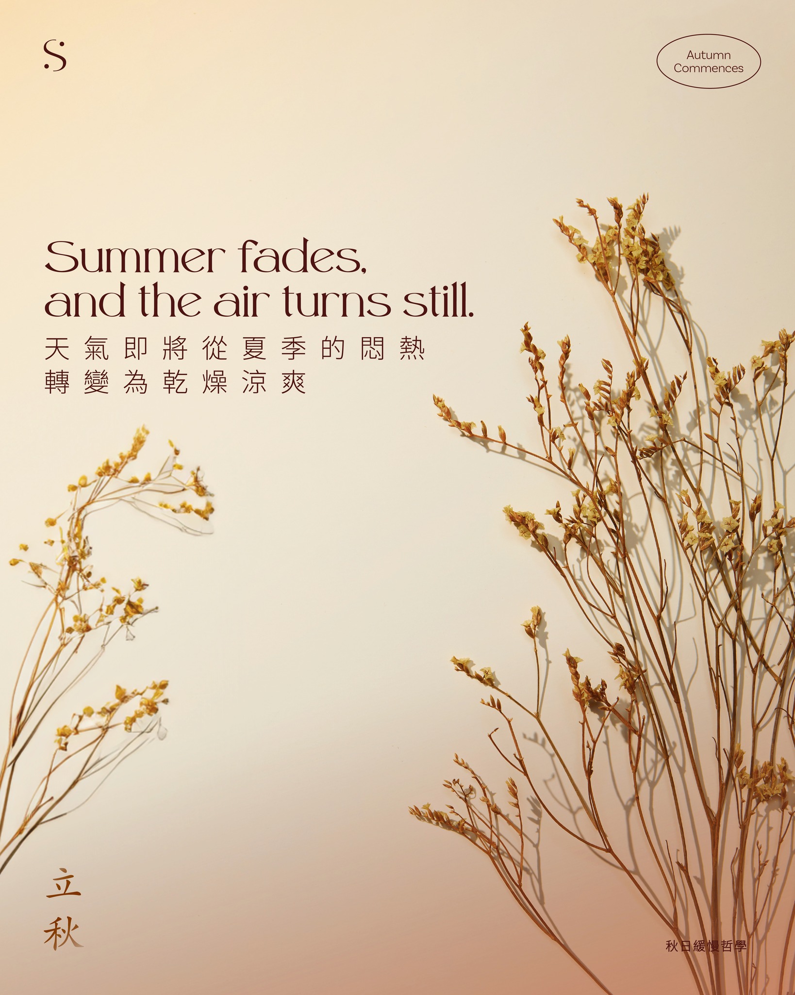 夏季的酷熱逐漸減退，氣溫開始下降，秋意漸濃。