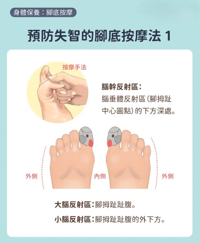 拇指推按法 – 大腦反射區