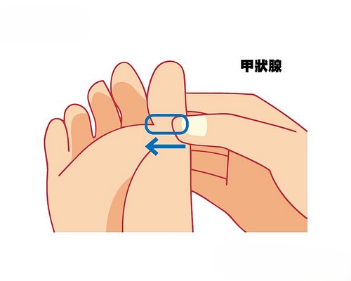 旋轉刺激 – 甲狀腺反射區