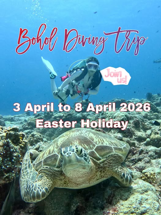 菲律賓@薄荷島潛水之旅