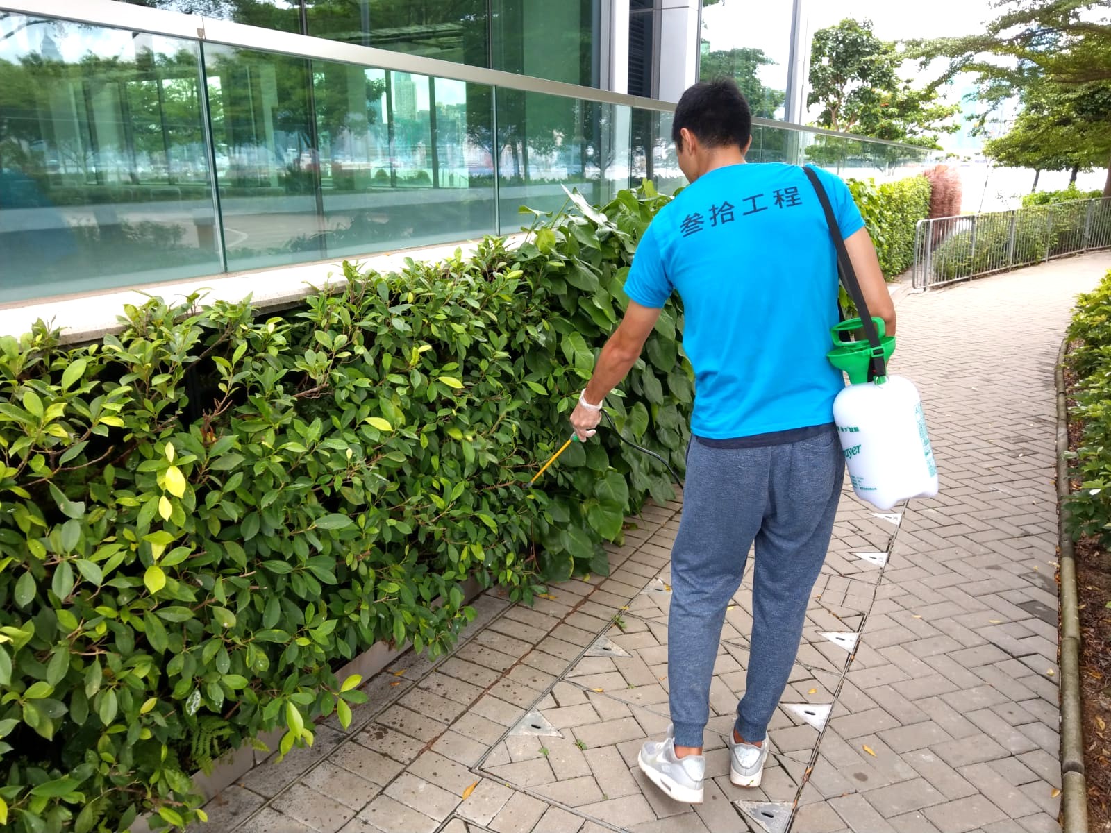 綠化牆工程及保養維修