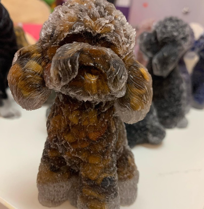 新貨狗狗🐶貓🐱