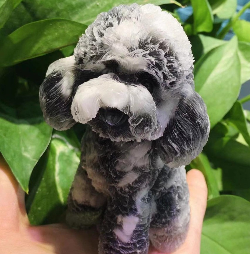 新貨狗狗🐶貓🐱