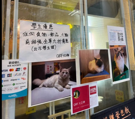 勁多主子揀