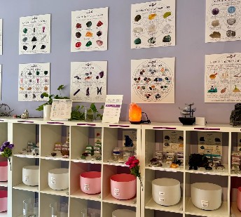 Elevate Your Dreams & Inspire the Future