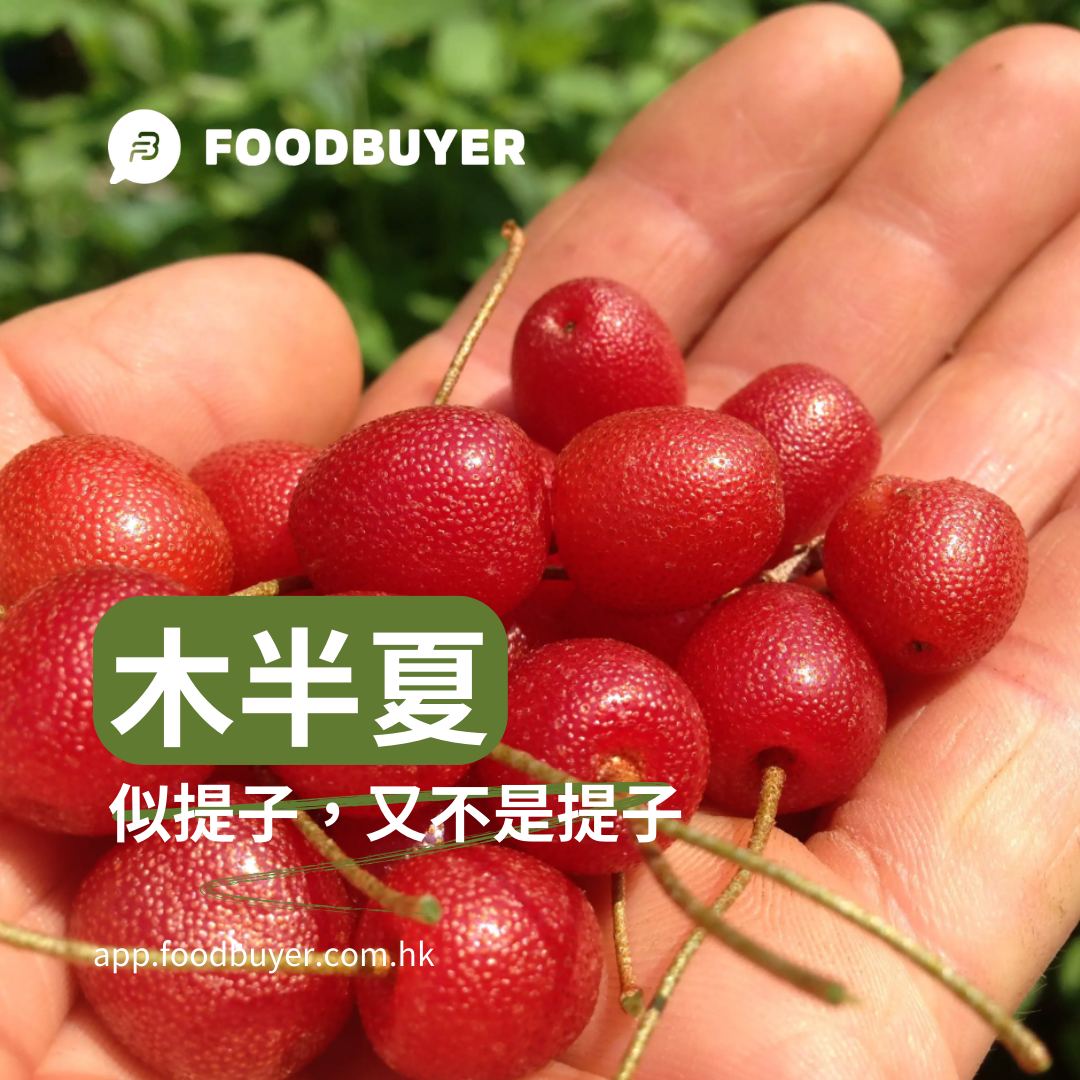 【Goumi Fruit：似提不是提子的小衆水果】