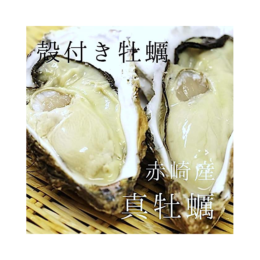 日本 岩手縣 大船渡 赤崎 生蠔 2L Size (300克/隻)